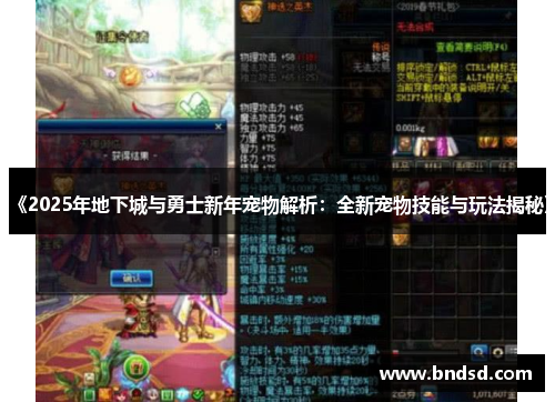 《2025年地下城与勇士新年宠物解析：全新宠物技能与玩法揭秘》